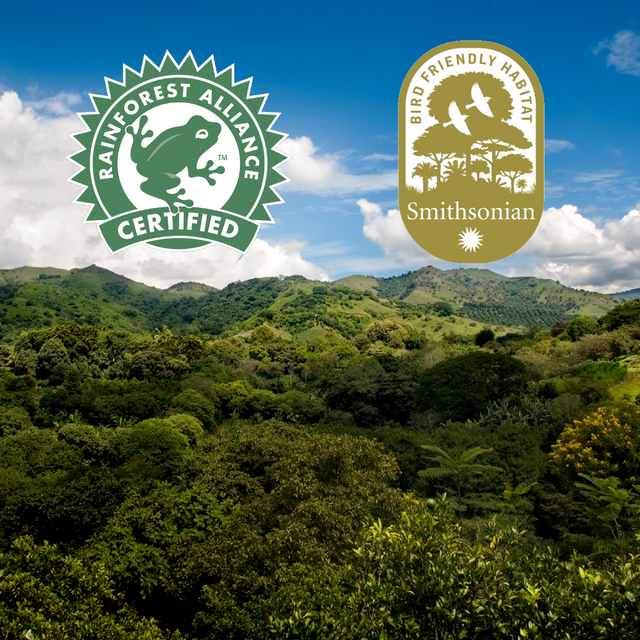 What is Bird Friendly and Rainforest Alliance Certified Coffee?